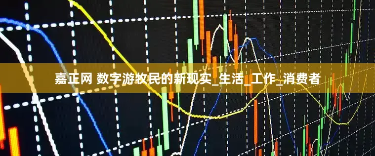 嘉正网 数字游牧民的新现实_生活_工作_消费者