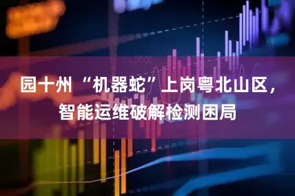 园十州 “机器蛇”上岗粤北山区，智能运维破解检测困局