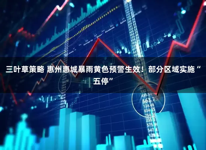 三叶草策略 惠州惠城暴雨黄色预警生效！部分区域实施“五停”