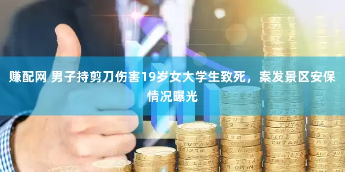赚配网 男子持剪刀伤害19岁女大学生致死，案发景区安保情况曝光