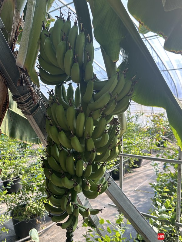 亿牛策略 山海携手共富路 这片土地如何从“贫瘠村”迈向“百万村”？